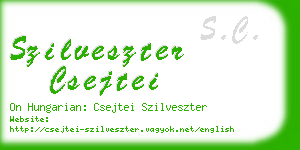 szilveszter csejtei business card